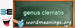 WordMeaning blackboard for genus clematis